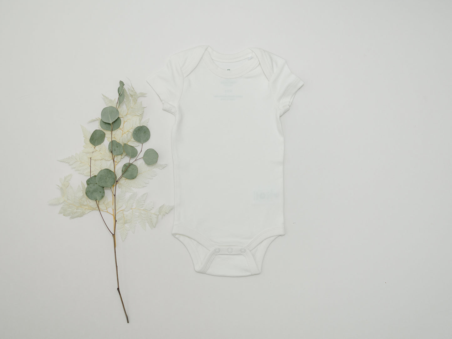 Cotton Short Sleeve Baby Bodysuits – Soft, Safe, and Eco-Friendly