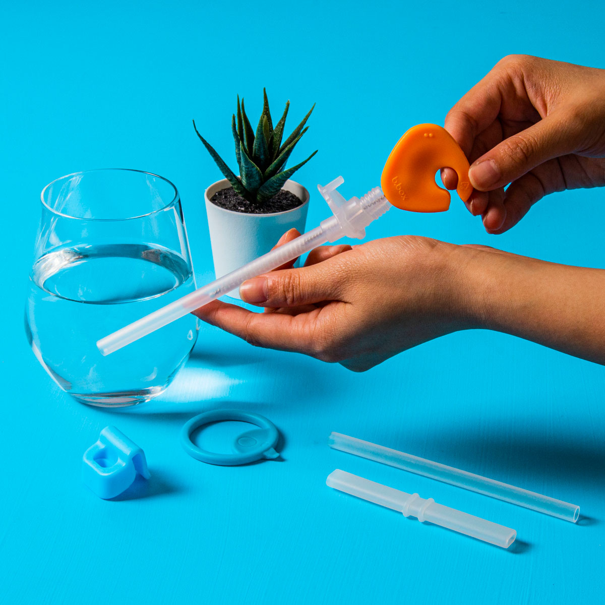 Cleaning Brush Set