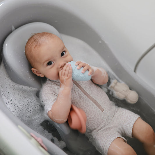 Sealife Mold Free Bath Play Set - 4 Pack